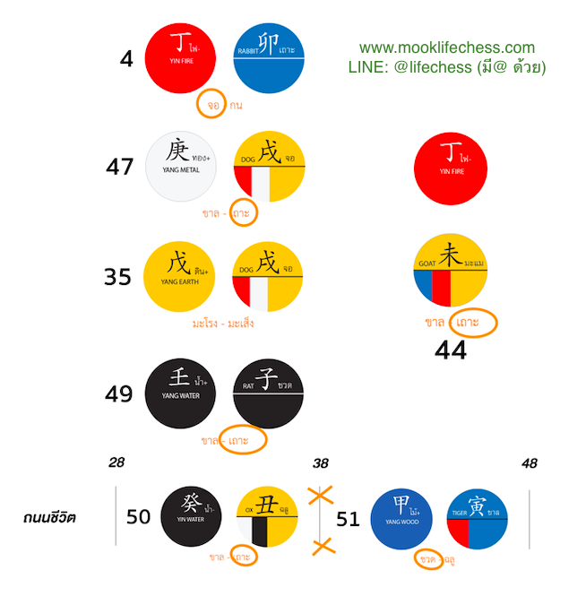 ดูดวง ทำอาชีพอะไรดี ขายอะไรดี ด้วยดวงจีน