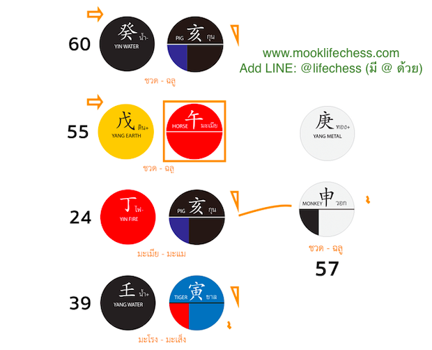 ดูดวงจีน ดวงนำเข้าอาหารเสริม ขายยาเสริมสมรรถภาพทางเพศ ขายอาหารเสริมออนไลน์